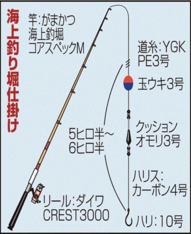 マダイ5匹 こりゃめでタイ にらみ鯛ゲット 和歌山 広川町 釣堀紀州 関西フィッシング サンスポ マダイ5匹 こりゃめでタイ にらみ鯛ゲット 和歌山 広川町 釣堀紀州 関西フィッシング サンスポ