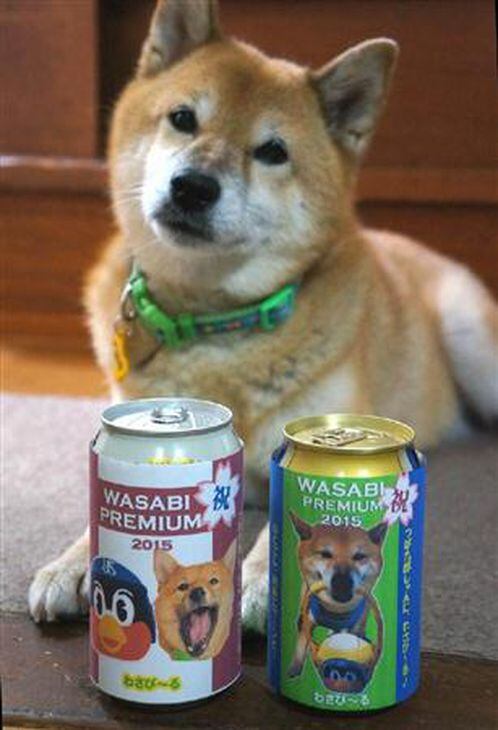球界ここだけの話 ３１７ ベースボール犬のわさびちゃん 優勝の燕 つば九郎に祝福のビール贈る 1 3ページ サンスポ