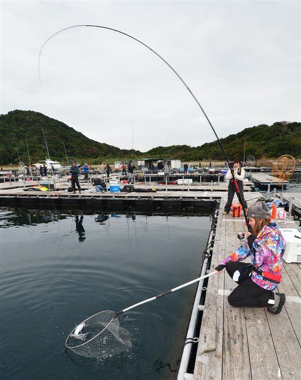 マダイ5匹 こりゃめでタイ にらみ鯛ゲット 和歌山 広川町 釣堀紀州 関西フィッシング サンスポ マダイ5匹 こりゃめでタイ にらみ鯛ゲット 和歌山 広川町 釣堀紀州 関西フィッシング サンスポ